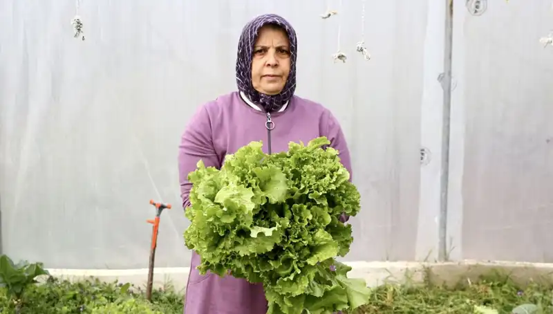 Emekli Olup Memleketine Dönen Kadın, Hayalini Gerçekleştirdi!