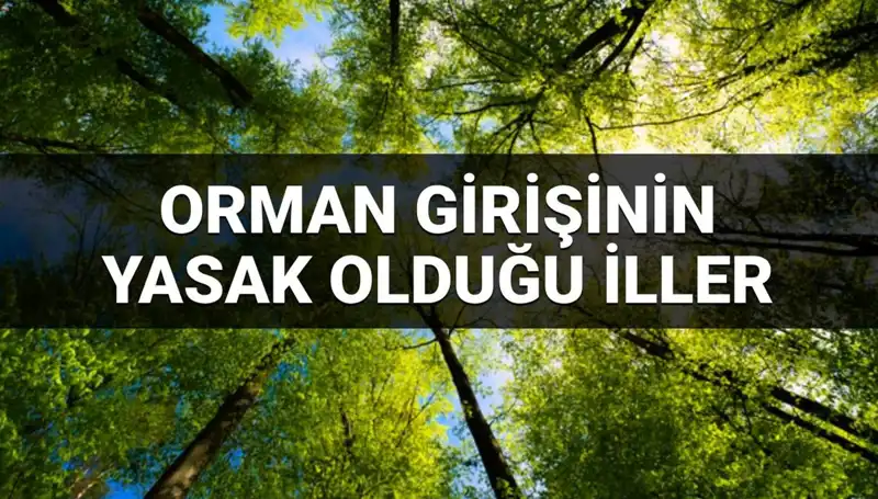 2025'te Ormana Girmek Yasaklanan İller: Hangi Şehirler Kapsamda?