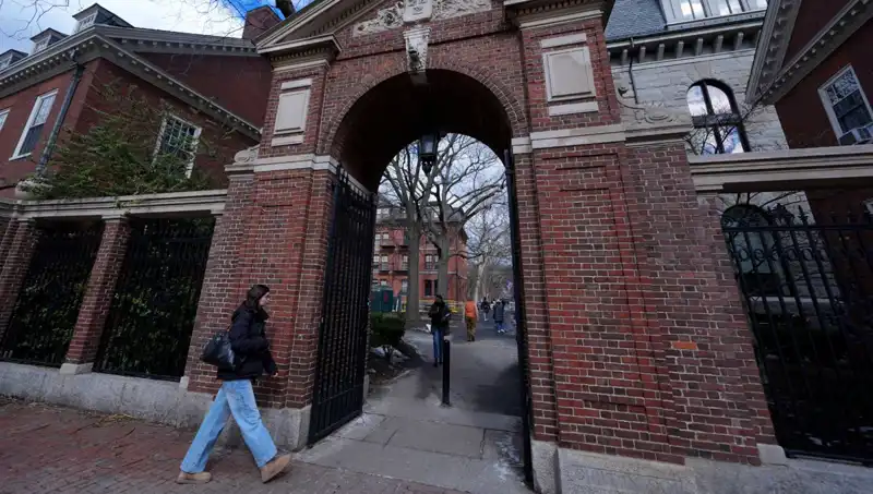 Trump Yönetimine Dava Açan Harvard Profesörleri, Ne Demek İstiyor?