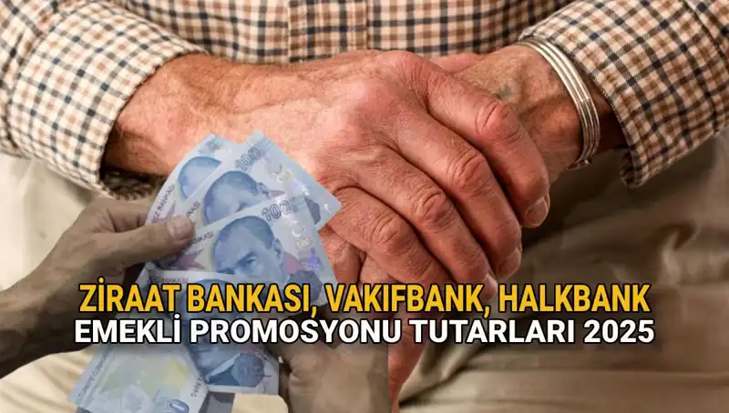Emekli Maaşı Promosyonu 2025: Kamu Bankalarının Teklifleri İnceleniyor