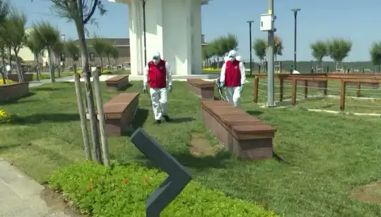 Kene Görülme Sıklığında Kayda Değer Artış: Halka Açık Yerlerde İlaçlama Süreci Başladı