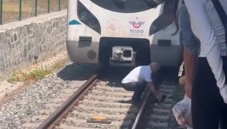 Marmaray'daki Kediyi Fark Eden Makinist: Durumunda Ne Olacak?