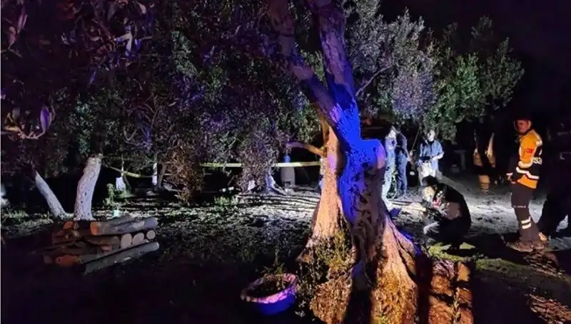 Çiftlikteki Baltalı Vahşet: Bir Tutuklama Gelişmesi