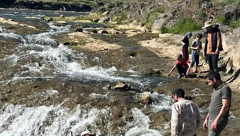 İnci Kefali Göçü: Doğa Harikası, Binlerce Turisti Kendine Çekiyor