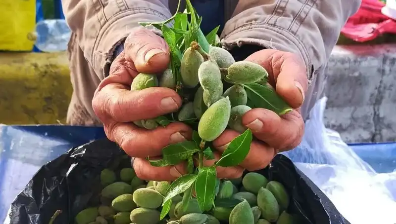 Bu Yıl Kilosu 250 TL Olan İlkbahar Sebzesi: Baharın Müjdecisi!