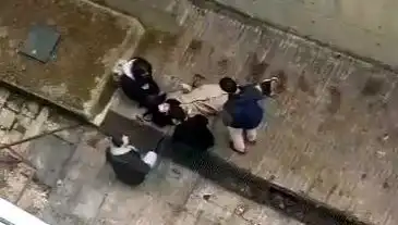 Kampüste Gerilim: Köpek Panik Yaratırken Öğrenci 4 Metreden Düştü!