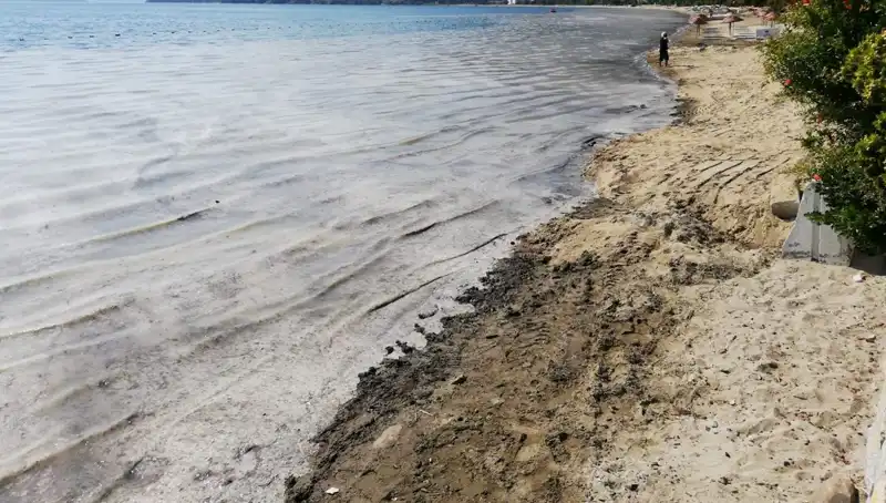 Müsilaj Sorununda Durum Ciddi: 268 İşletme Faaliyetine Son Verildi!