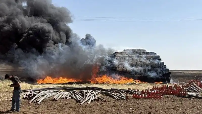 Mardin'de Kontrolden Çıkan Anız Yangınları: Doğa ve Tarım Tehdit Altında!