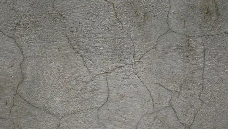 Canlı Beton: Kendini Onaran Çatlaklar ile İnşaatın Geleceği