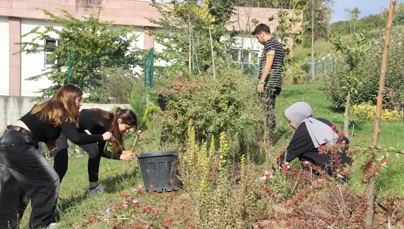 Düzce'nin Gururu: Hayaldi Gerçek Olan Kültürel Miras Dünyayı Sardı