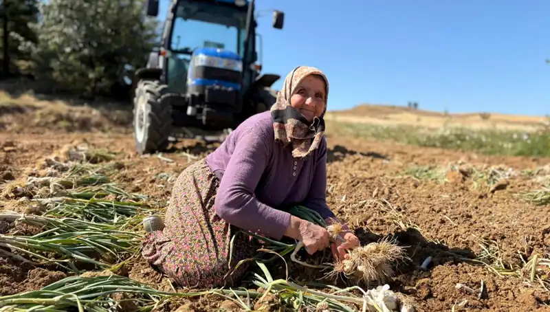 Günlük 1200 Lira Kazandıran Eşsiz Bir Tarım Mucizesi: Selenyum Zengini Ürünler
