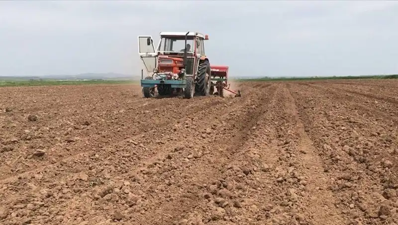 Son 35 Yılın En Kurak Mart Ayı: Türkiye'yi Bekleyen Tehlikeler
