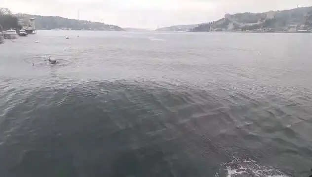 İstanbul Boğazı'nda Dalgalar Yükseliyor: Deniz Tutkunları İçin Neler Oluyor?