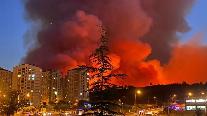 Bursa'da Yürekleri Alev Alev Yakan Yangınlar: Şehir Fırtına Gibi Sarsıldı
