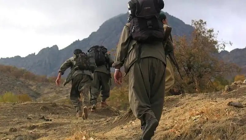 Türkiye'de Terörsüz Gelecek İçin Kritik 48 Saat: Öcalan'ın Mesajı Kandil'e Ulaşacak