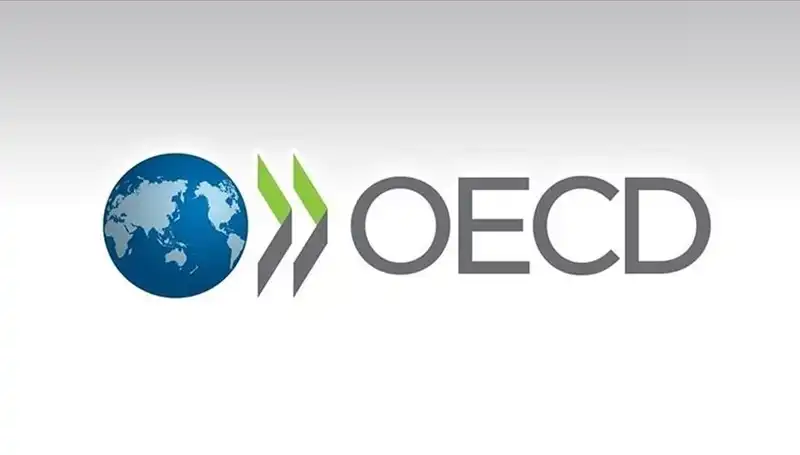 OECD, Türkiye'nin Ekonomik Büyüme Tahminini Yukarı Yönlü Revize Etti