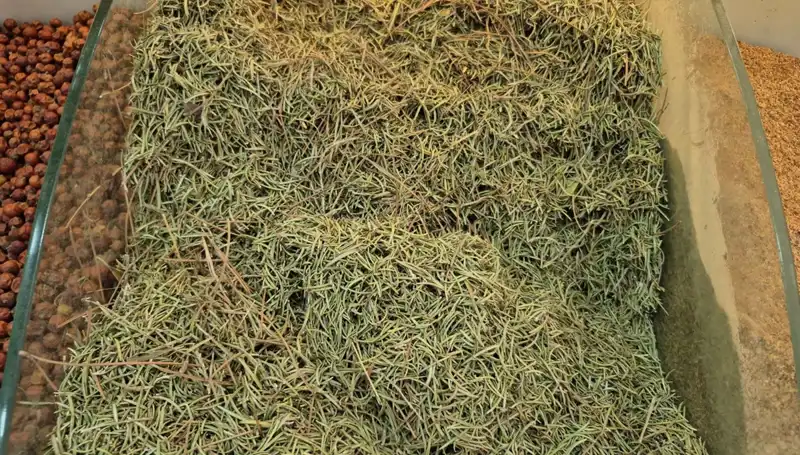Yaz Aylarının Gelmesiyle İnternette Ölümcül Madde Satışı Patladı!