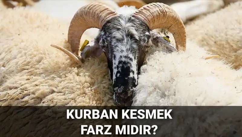 Kurban Kesmenin Hükmü Nedir? Farz Mı, Şartları Neler?