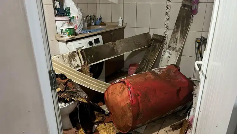 Ege Bölgesi'nde Fırtına Alarmı: Doğa Felaketi Ağaçları Devirdi