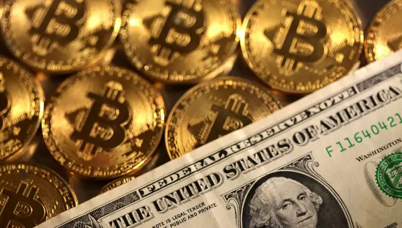Kripto Fonları Piyasa Düşüşüyle 4,75 Milyar Dolar Kaybetti: Nedenleri ve Geleceği
