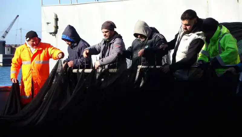Hamsi Avı Sonlandı: Balıkçılar Erken Veda Etti!