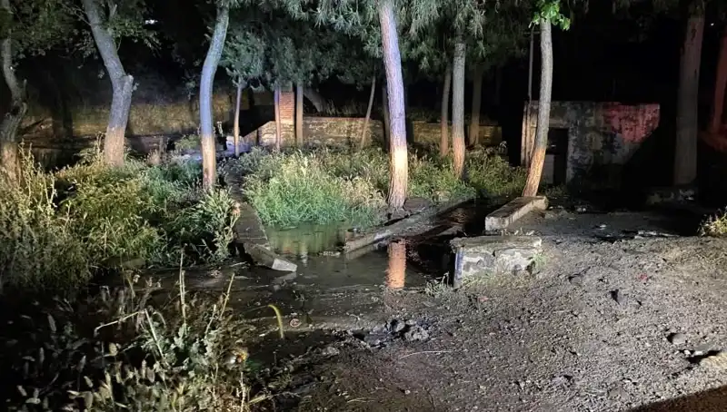 Manisa'da Parkta Gizemli Ölüm: Şüpheli Olayın Perde Arkası