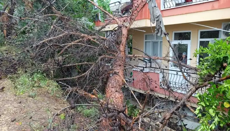Yağmur Fırtınası Sonrası Yüksek Bina Ağaç Gibi Devirdi!