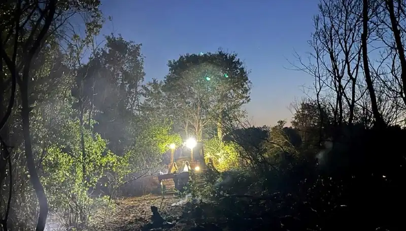 Edirne'deki Orman Yangını: Ekipler ve Gönüllüler İle Hızla Kontrol Altına Alındı