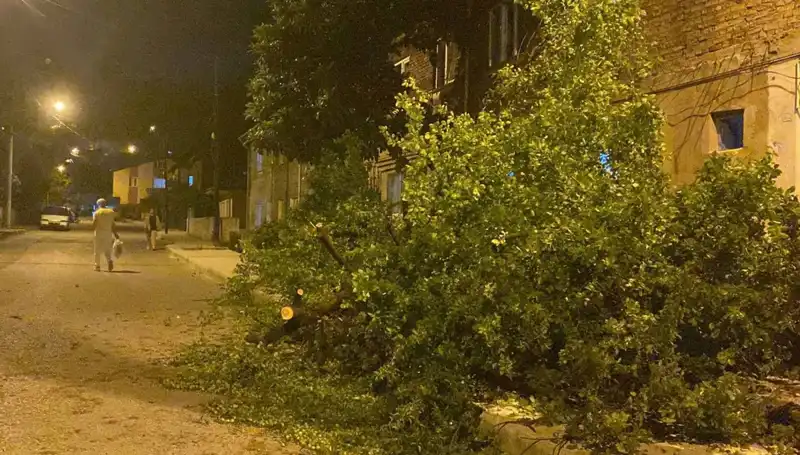 Karabük'te Fırtına, Şehirde Hayatı Olumsuz Etkiledi